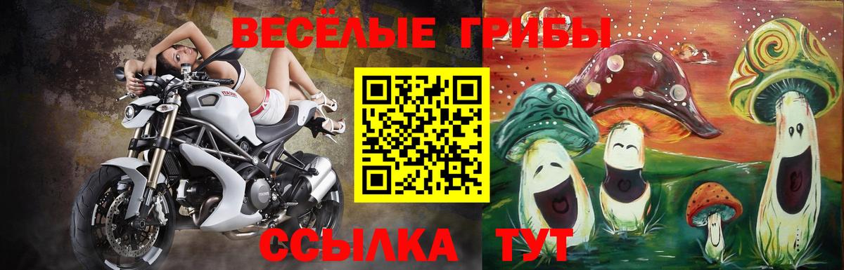 Псилоцибиновые грибы ЛСД  Вход с VPN  Галлюциногенные грибы Magic Shrooms  Заводоуковск 