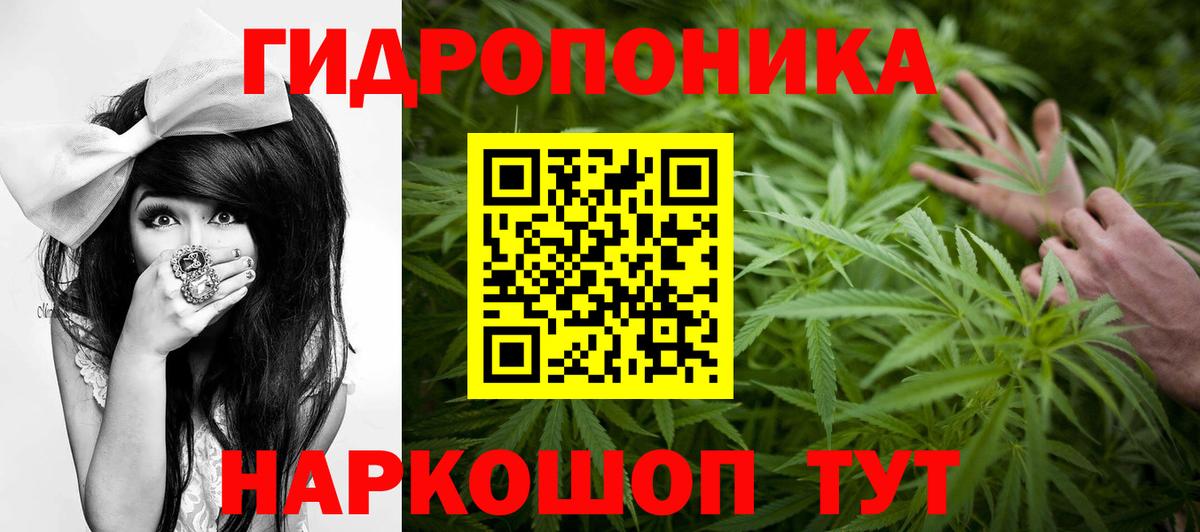 Заводоуковск  Шишки марихуана тримм  Каннабис ГИДРОПОН  Вход с VPN  Марихуана Bruce Banner 